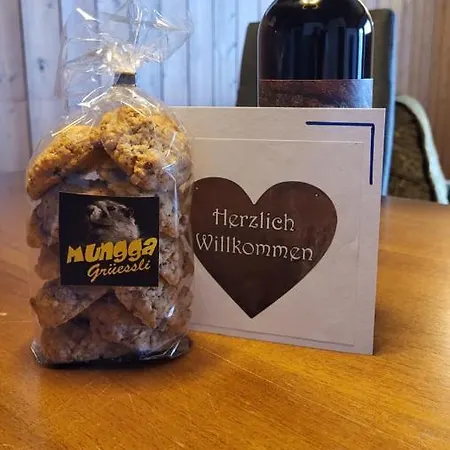 Tgesa Val Apartment Sedrun